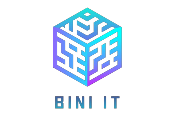 Bini IT